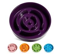LE TAUCI Gamelle à Alimentation Lente en Céramique pour Chien, Labyrinthe pour Mangeurs Rapides, Taille Moyenne et Grande, L-1200 ML