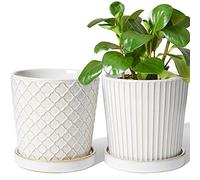 LE TAUCI Lot de 2 pots de fleurs en céramique avec trou de drainage et soucoupe, pot de fleurs d'intérieur avec trou en maille, 13,7 cm, blanc émaillé réactif