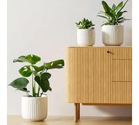 LE TAUCI Lot de 3 Pots de Fleurs en Céramique, 21cm +17cm + 14 cm Pot de Fleur Interieur avec Trou de Drainage, Cylindre Moyen pour Plantes d’intérieur, Blanc