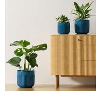 LE TAUCI Lot de 3 Pots de Fleurs en Céramique, 21cm +17cm + 14 cm Pot de Fleur Interieur avec Trou de Drainage, Cylindre Moyen pour Plantes d’intérieur, Bleu océan Emaillé