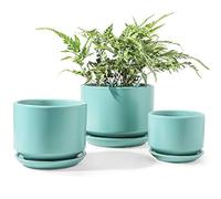 LE TAUCI Lot de 3 pots de fleurs en céramique avec trou de drainage et soucoupe pour intérieur avec trou de drainage et coussinet en maille, cadeaux pour maman, turquoise