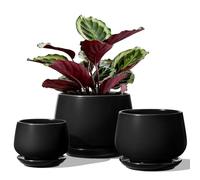LE TAUCI Pot de Fleurs en Céramique, 11+13+17 cm, Lot de 3, Pot avec Trou de Drainage et Soucoupe, Pot d’Intérieur avec Tapis en Maille, Cadeau pour la Fête des Mères, Noir