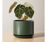 LE TAUCI Pot de Fleurs en Céramique 17 cm, Pot de Fleurs avec Soucoupe Intégrée et Trou de Drainage, Petit Cache-Pot Moderne, Robuste et Durable pour Décoration Maison et Bureau, Finition Mate, Vert