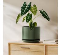 LE TAUCI Pot de Fleurs en Céramique 20 cm, Pot de Fleurs avec Soucoupe Intégrée et Trou de Drainage, Jardinière Moderne au Style Minimaliste, Finition Mate pour Plantes d'Intérieur, Vert