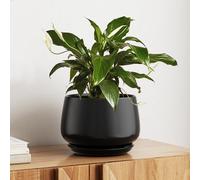 LE TAUCI Pot de fleurs en céramique de 25,4 cm avec trou de drainage et soucoupe - Pot de fleurs d'intérieur durable pour décoration d'intérieur moderne, noir