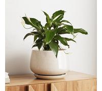 LE TAUCI Pot de Fleurs en Céramique, Pot pour Plantes 25 cm avec Trou de Drainage et Soucoupe, Pot de Fleurs d’Intérieur Durable pour Décoration Moderne de la Maison, Beige