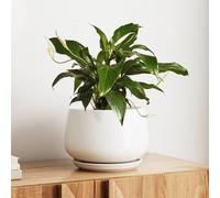 LE TAUCI Pot de Fleurs en Céramique, Pot pour Plantes 25 cm avec Trou de Drainage et Soucoupe, Pot de Fleurs d’Intérieur Durable pour Décoration Moderne de la Maison, Blanc