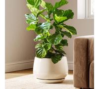 LE TAUCI Pot de Fleurs en Céramique, Pot pour Plantes 30 cm avec Trou de Drainage et Soucoupe, Pot de Fleurs d’Intérieur Durable pour Décoration Moderne de la Maison, Beige