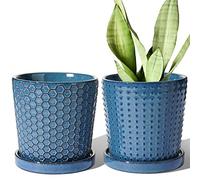 LE TAUCI Pots de Fleurs en Céramique 13,5 cm, Lot de 2, Cache-Pots avec Trou de Drainage et Soucoupe, pour Succulentes, Cactus et Déco, pour Déco de Table, Étagères et Bureau, Bleu Réactif