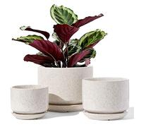 LE TAUCI Pots de Plantes en Céramique, 11+13+17 cm, Lot de 3, Jardinières avec Trou de Drainage et Soucoupe, Pot de Fleurs d'Intérieur avec Coussinet en Maille, Cadeaux pour Maman, Beige