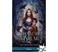 Le territoire oublié Le royaume des Brumes, T1 - Audrey Khadi - Collection Infinity - broché - Roman