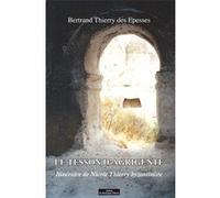 Le tesson d'agrigente Bertrand Thierry Des Espesses (Auteur)