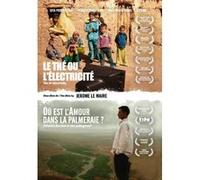 Le thé ou l'électricité - Où est l'amour dans la Palmeraie DVD E