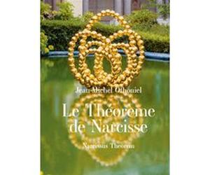 Le théorème de Narcisse Jean-Michel Othoniel (Auteur), Bernard Wooding (Traduction)