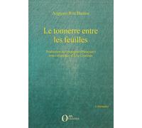 Le tonnerre entre les feuilles Traduction de l'espagnol (Paraguay) notes et préface d'Eric Courthès - Éric Courthès - L'harmattan - broché - Roman