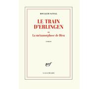 Le train d'Erlingen ou la métamorphose de Dieu: Roman