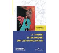 Le transfert et son maniement dans les pratiques sociales - Joseph Rouzel - L'harmattan - broché - Guide