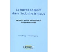 Le travail collectif dans l'industrie à risque.