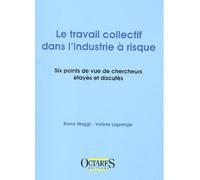 Le travail collectif dans l'industrie a risque - six points de vue de chercheurs etayes et discutes - MAGGI, LAGRANGE - Octares - broché - Etude