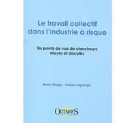 Le travail collectif dans l'industrie a risque - six points de vue de chercheurs etayes et discutes MAGGI, LAGRANGE (Auteur)