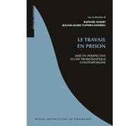Le travail en prison : mise en perspective d'une problématique contemporaine: MISE EN PERSPECTIVE D'UNE PROBLÉMATIQUE CONTEMPORAINE