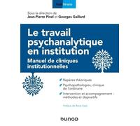 Le Travail Psychanalytique En Institution - Manuel Des Cliniques Institutionnelles