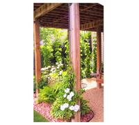 Le treillis de jardin Scroll Trellis mesure 2,7 m de long. Il est vendu en kit, pour faire pousser facilement un mur vert vertical naturel, créer de l'intimité ou camoufler une horreur visuelle et