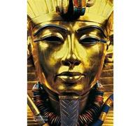 Le trésor de Toutankhamon Zahi Hawass (Auteur)