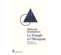Le Triangle et l'Hexagone: Réflexions sur une identité noire