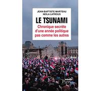 Le tsunami: Chronique secrète d'une année politique pas comme les autres