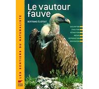 Le vautour fauve: Description Evolution Répartition Reproduction Observation Protection