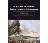 Le Vesuve en Eruption. Savoirs, Représentations, Pratiques