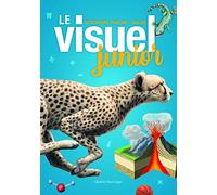 Le visuel junior: Dictionnaire français-anglais