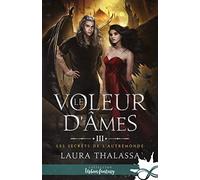 Le voleur d'âmes: Les secrets de l'AutreMonde, T3