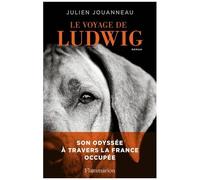 Le Voyage De Ludwig
