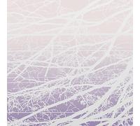 Lea Bertucci - Metal Aether/Resonant Field