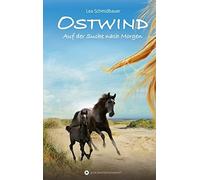 Lea Schmidbauer Ostwind - Auf der Suche nach Morgen (Relié)
