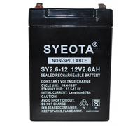 Lead Battery 12v / 2.6ah Sy2.6-12, Songyuan