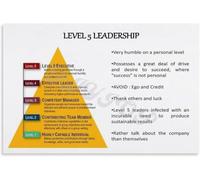 Leadership Growth Model Poster Office Hierarchy Chart Wall-Art Educational Decor for Workplace Manager Training Business Team Building Home Study(Unframed,12x18inch(30x45cm))