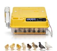 LEADZM Couveuse œuf Automatique 24-36 Oeufs avec Retournement Automatique et Ajout d'eau，Couveuse Oeuf Contrôle Température， Affichage Humidité，5 Modes d'incubation pour Poules Canards Oies Cailles