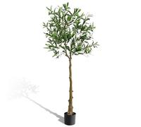 LEADZM Olivier Artificiel 150 cm Décoration Intérieur - Arbre Faux Oliviers en Plastique Haute Oualité Plante Artificielle (150cm)