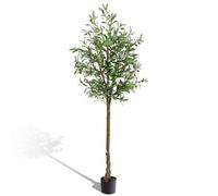 LEADZM Olivier Artificiel 180 cm Décoration Intérieur - Arbre Faux Oliviers en Plastique Haute Oualité Plante Artificielle (180cm)