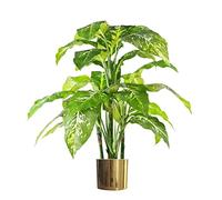 Leaf Aglaonema Grand Renard Artificiel Vert avec Pot doré 100 cm