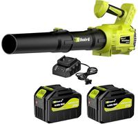 Leaf Blower Cordless,2 x 21V 6.0Ah Battery and Charger, with 680CFM 190MPH Electric Cordless Leaf Blower, 3-Variable Speed & Turbo Mode, Blowers for Lawn Care (5002 D) (Green)