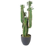 Leaf Cactus Artificiel avec Pot 75 cm