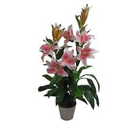 Leaf Design UK - Arbre Artificiel réaliste - Lys Rose - 90 cm