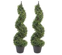 Leaf Design UK Buis en Spirale 90 cm
