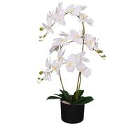 Leaf Design UK Orchidée Artificielle réaliste en Pot Blanc 65 cm