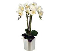 Leaf Design UK Orchidée Artificielle réaliste en Pot, Blanc argenté, 52 cm