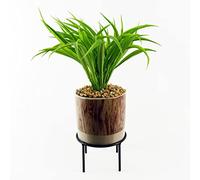 Leaf Design UK Plante Artificielle réaliste avec Pot en céramique 35 cm